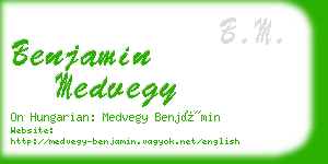 benjamin medvegy business card